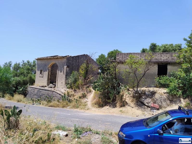 PHOTO-2025-07-07-16-50-50 (1).jpg